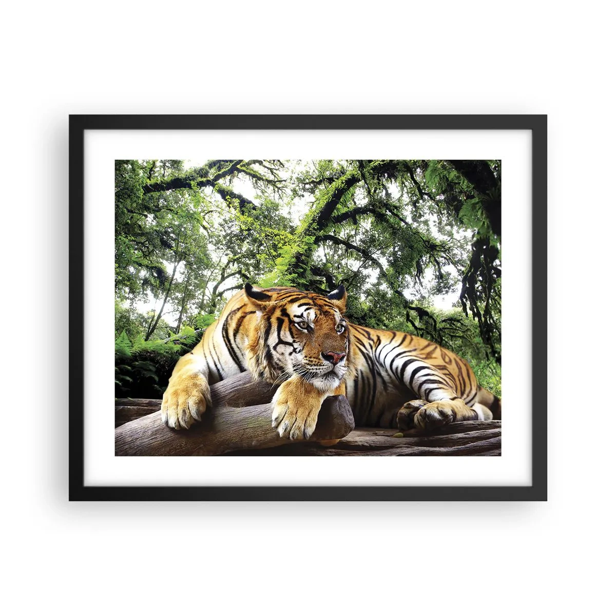 Pôster com moldura preta - Com os melhores cumprimentos - 50x40 cm