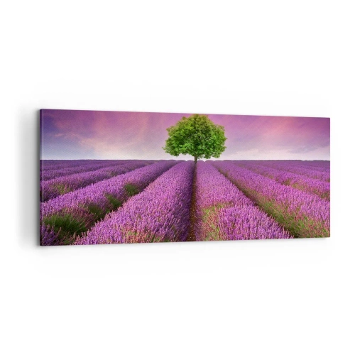 Quadro em tela - Nos campos de lavanda - 100x40 cm