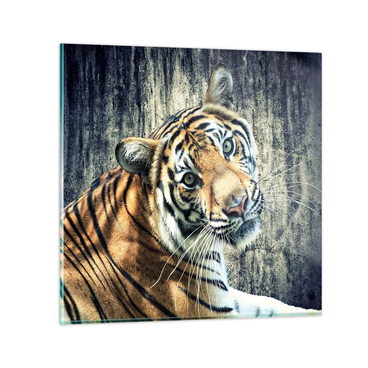 Quadro em vidro - Retrato em feixes de luz - 70x70 cm