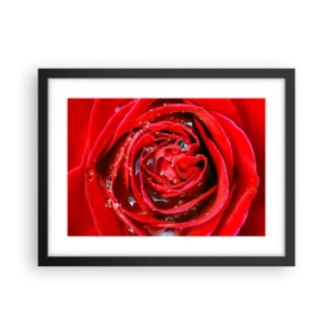 Pôster com moldura preta - Em gotas de orvalho - 40x30 cm