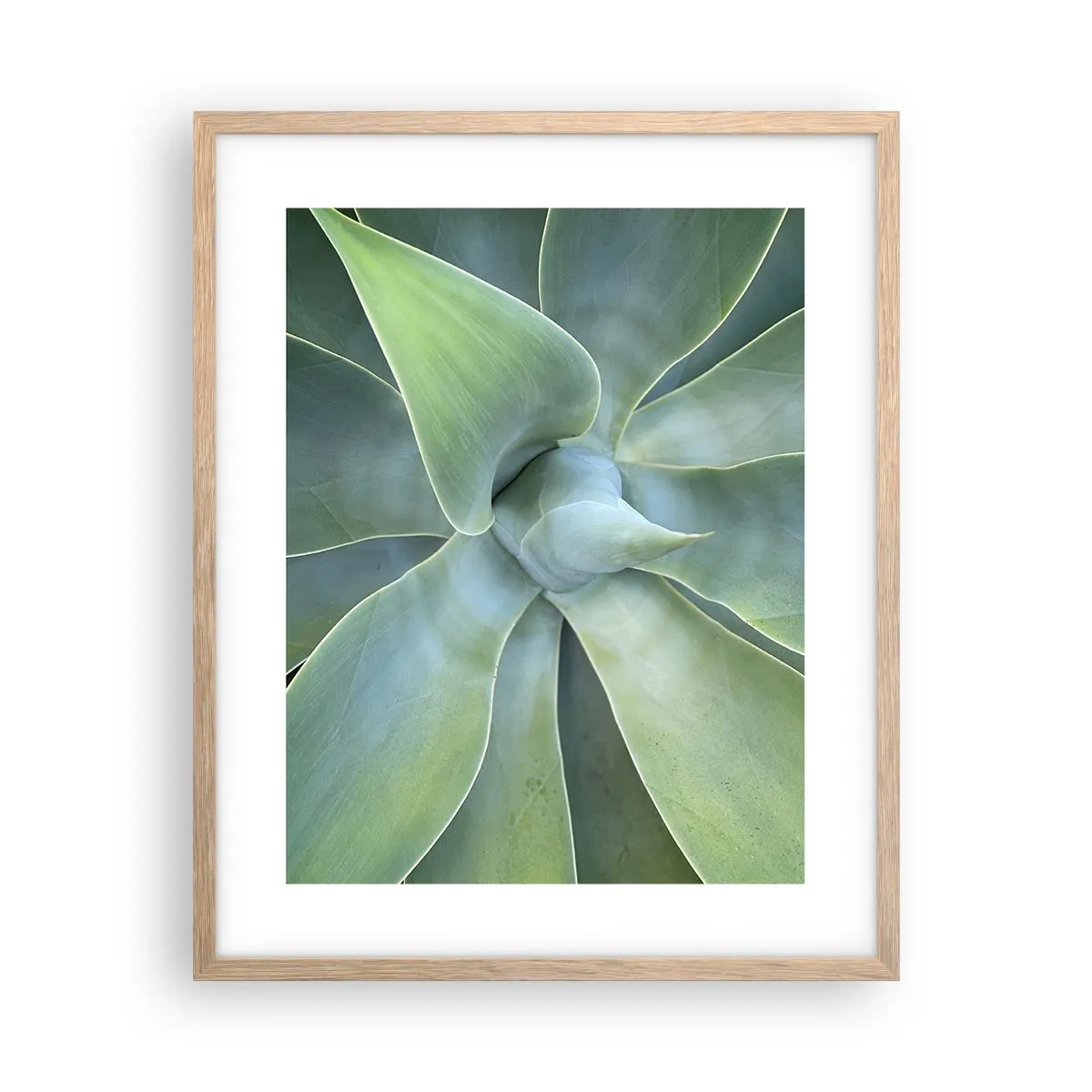 Pôster com moldura de carvalho claro - O nascimento da vegetação - 40x50 cm