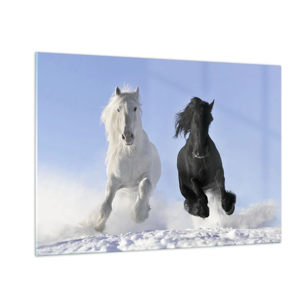 Quadro em vidro - Galope preto e branco - 100x70 cm