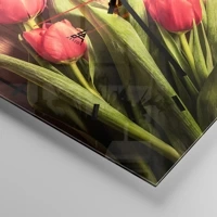 Mostrador com traços