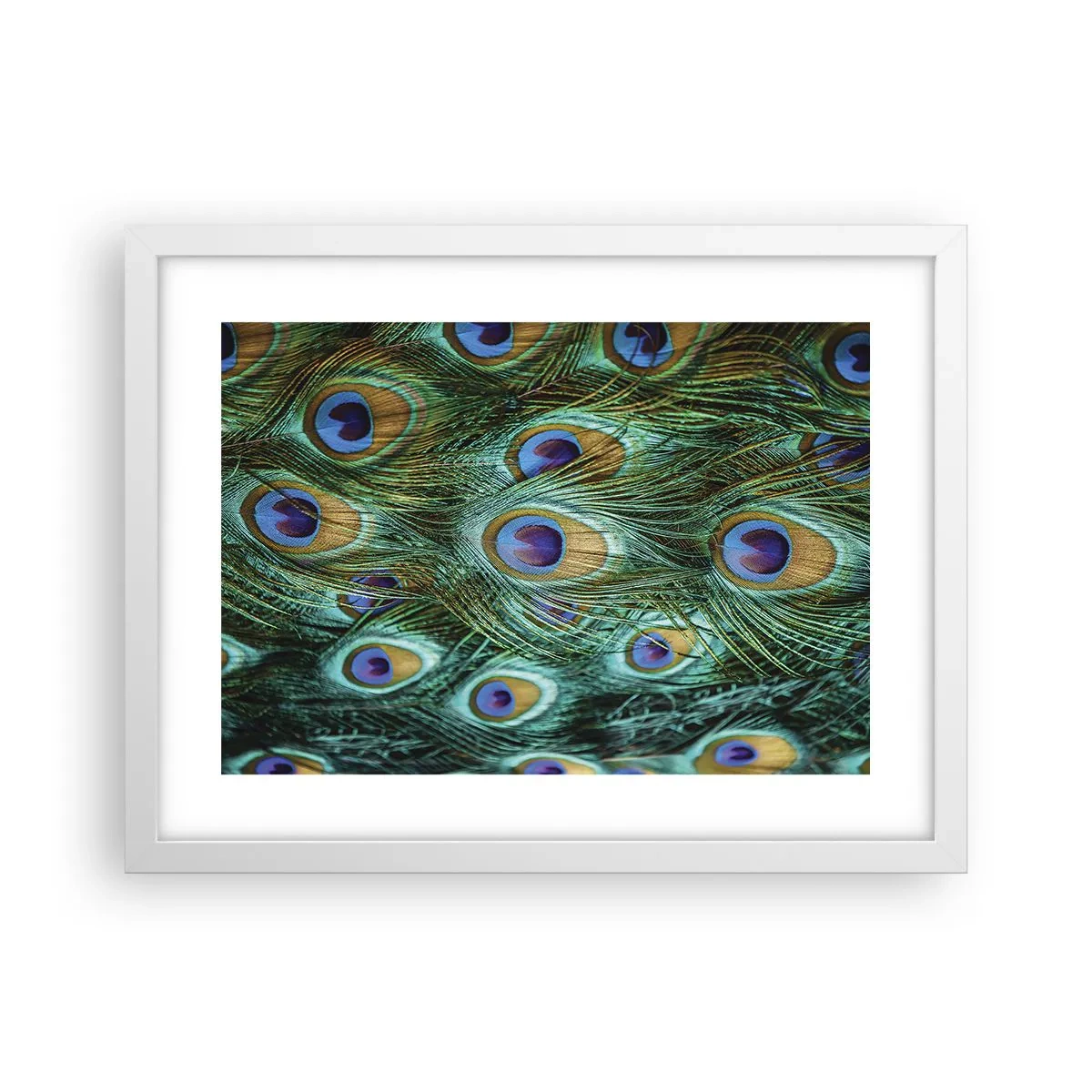 Pôster em moldura branca - Um olhar de pavão - 40x30 cm