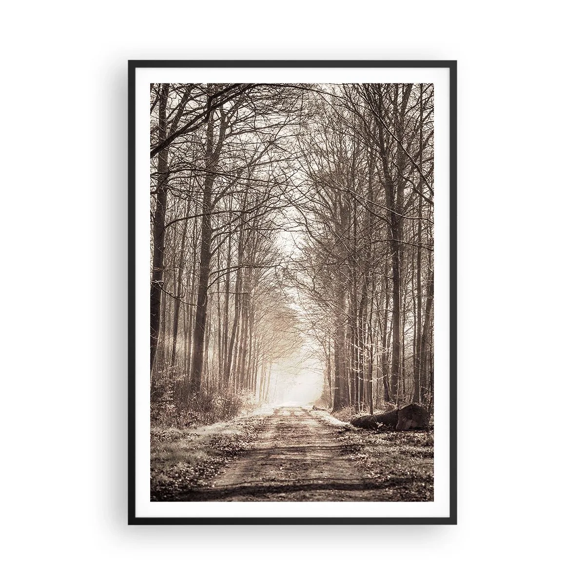 Pôster com moldura preta - Catedral na Floresta - 70x100 cm