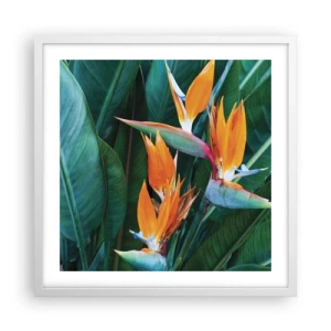Pôster em moldura branca - É uma flor ou é um pássaro? - 50x50 cm