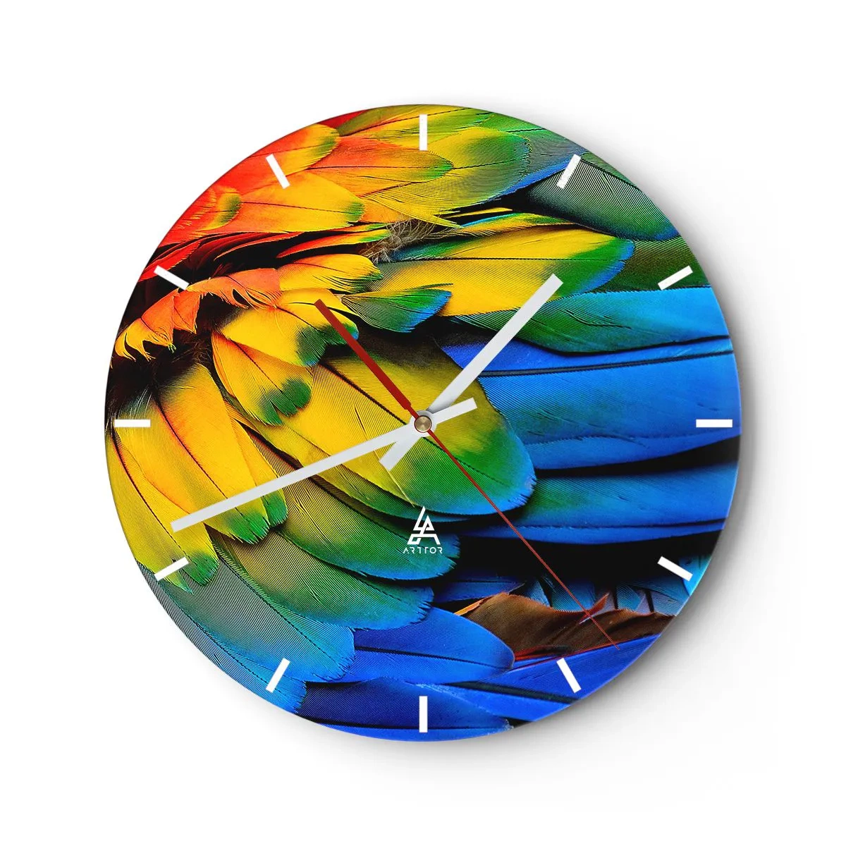 Relógio de parede - Relógio em vidro - As penas vibrantes de um pássaro tropical - 30x30cm - Ave do paraíso - Decoração de parede moderna para a sala de estar, cozinha e quarto ARTTOR