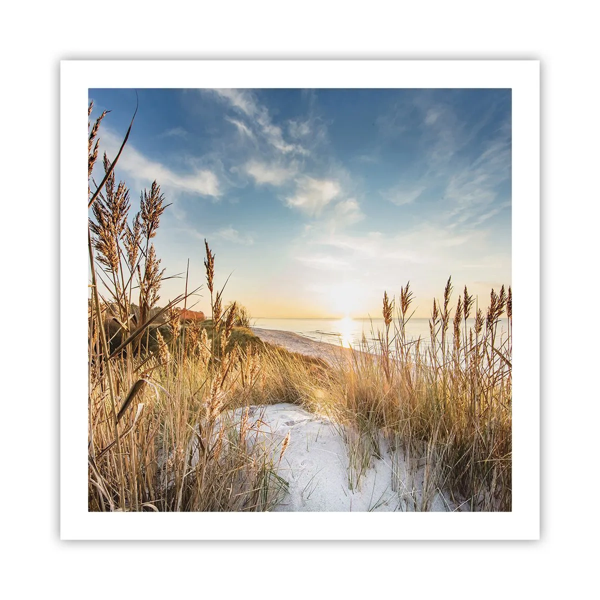 Pôster - Praia do Norte - 60x60 cm
