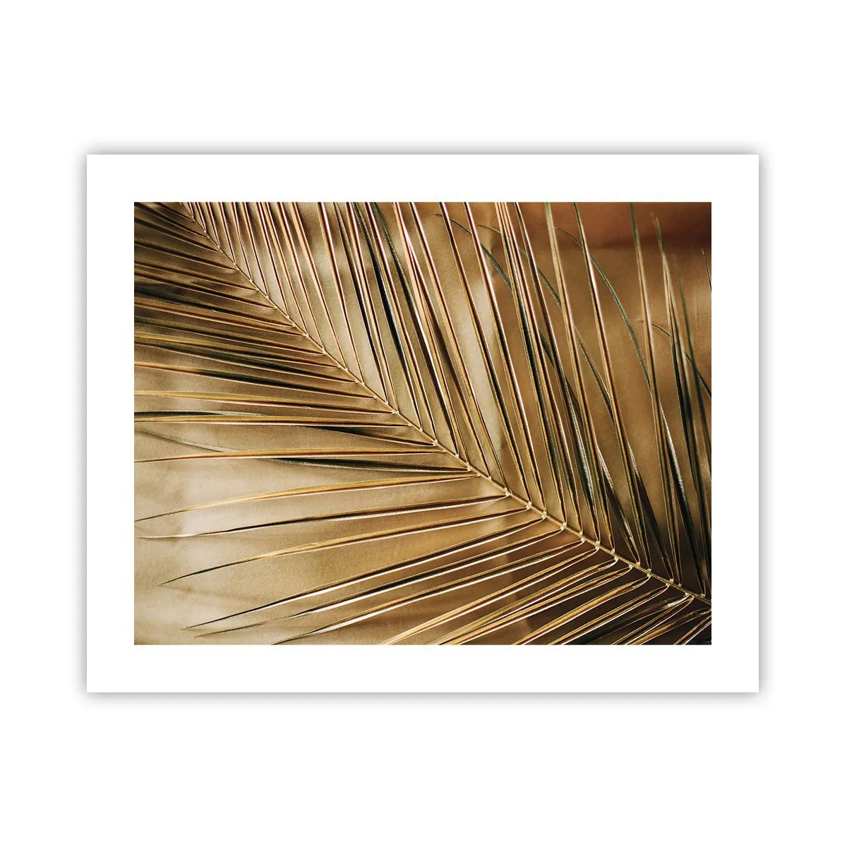 Pôster - Colunata natural - 50x40 cm
