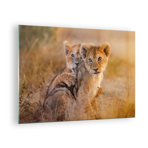 Quadro em vidro - Dois filhotes de leão em um ambiente natural de savana - 70x50cm - Não perturbe! Estamos a divertir-nos - Decoração de parede moderna para a sala de estar e quarto ARTTOR