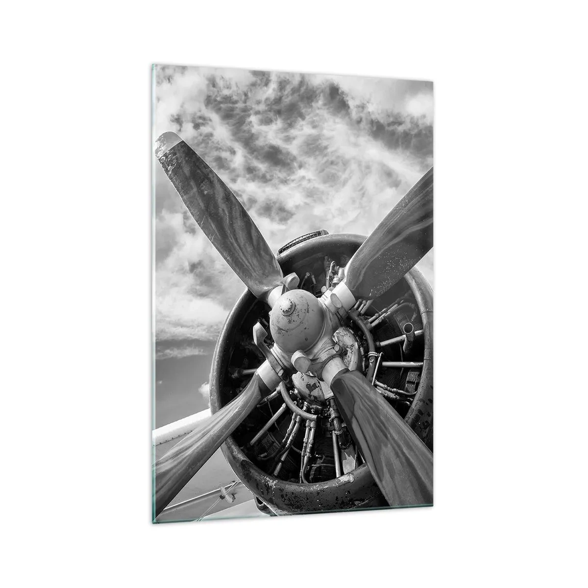 Quadro em vidro - O conquistador dos céus - 70x100 cm