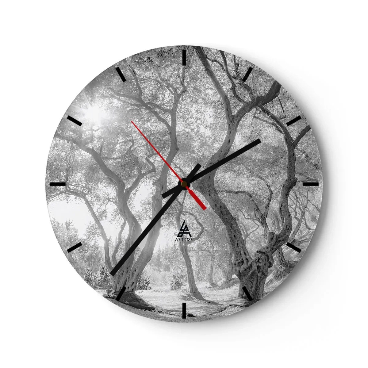 Relógio de parede - Relógio em vidro - Árvores pretas e brancas sob a luz do sol na floresta - 30x30cm - No olival - Decoração de parede moderna para a sala de estar, cozinha e quarto ARTTOR