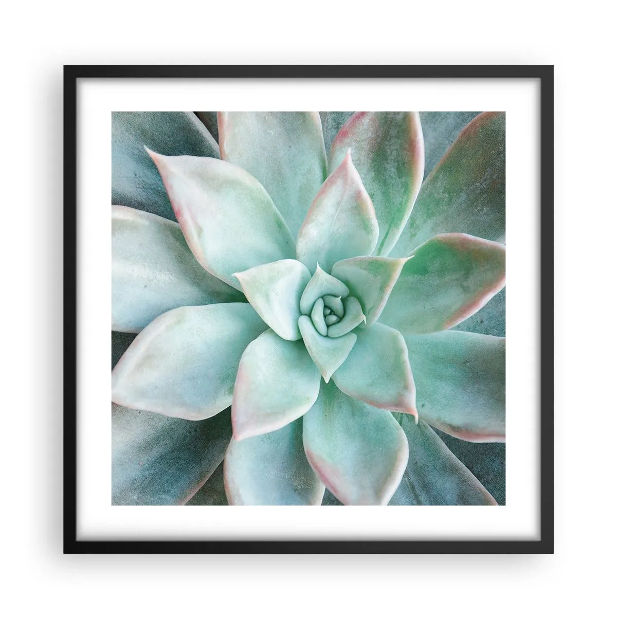 Pôster com moldura preta - O coração do deserto - 50x50 cm