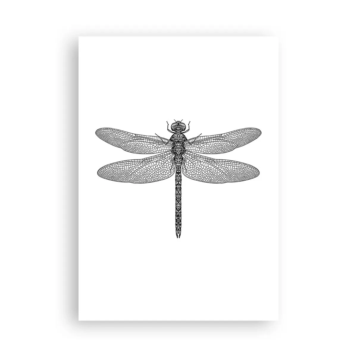 Pôster - Precisão da natureza - 70x100 cm