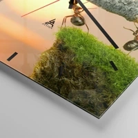 Mostrador com traços