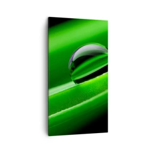 Quadro em tela - A vida de perto - 45x80 cm