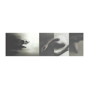 Amostra de papel de parede Premium Canvas - Irresistível - Esporte, Correndo, Escuridão - 100x30 cm