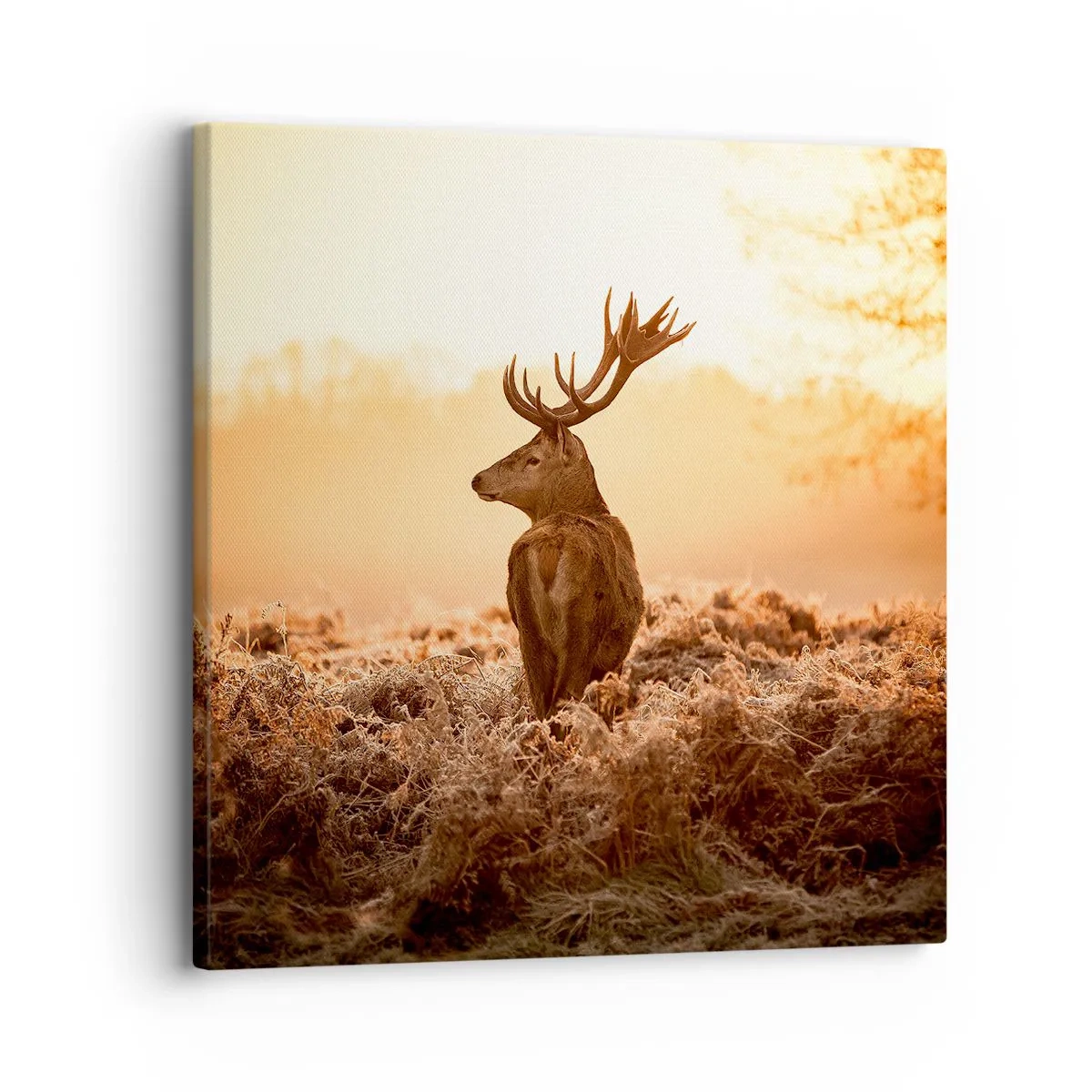 Quadro em tela - O senhor da propriedade - 30x30 cm