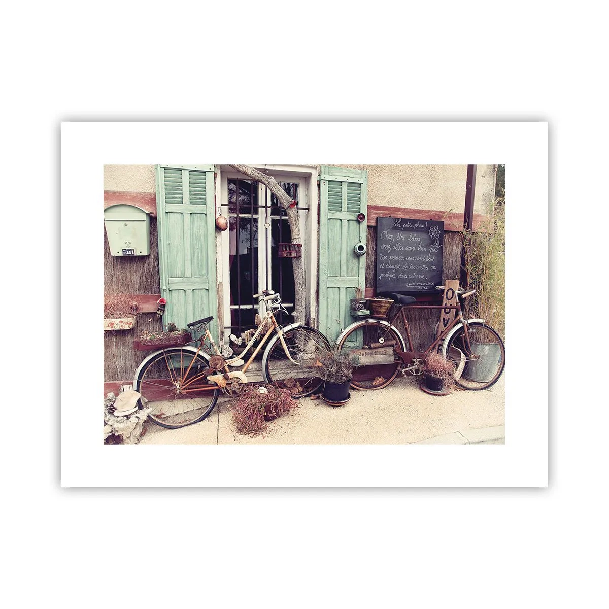 Pôster - Viva a província - 40x30 cm