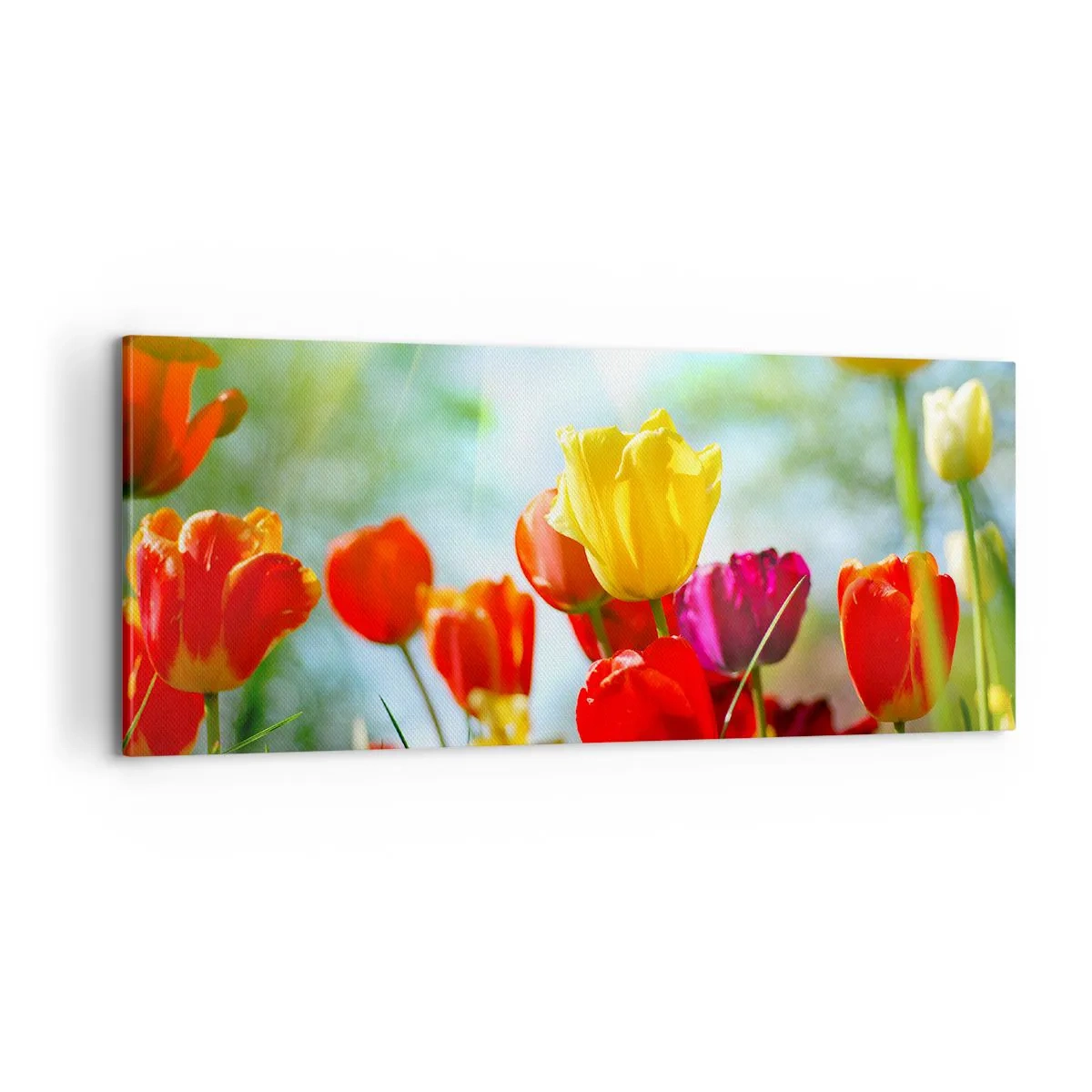 Quadro em tela - Todas as cores do sol - 100x40 cm