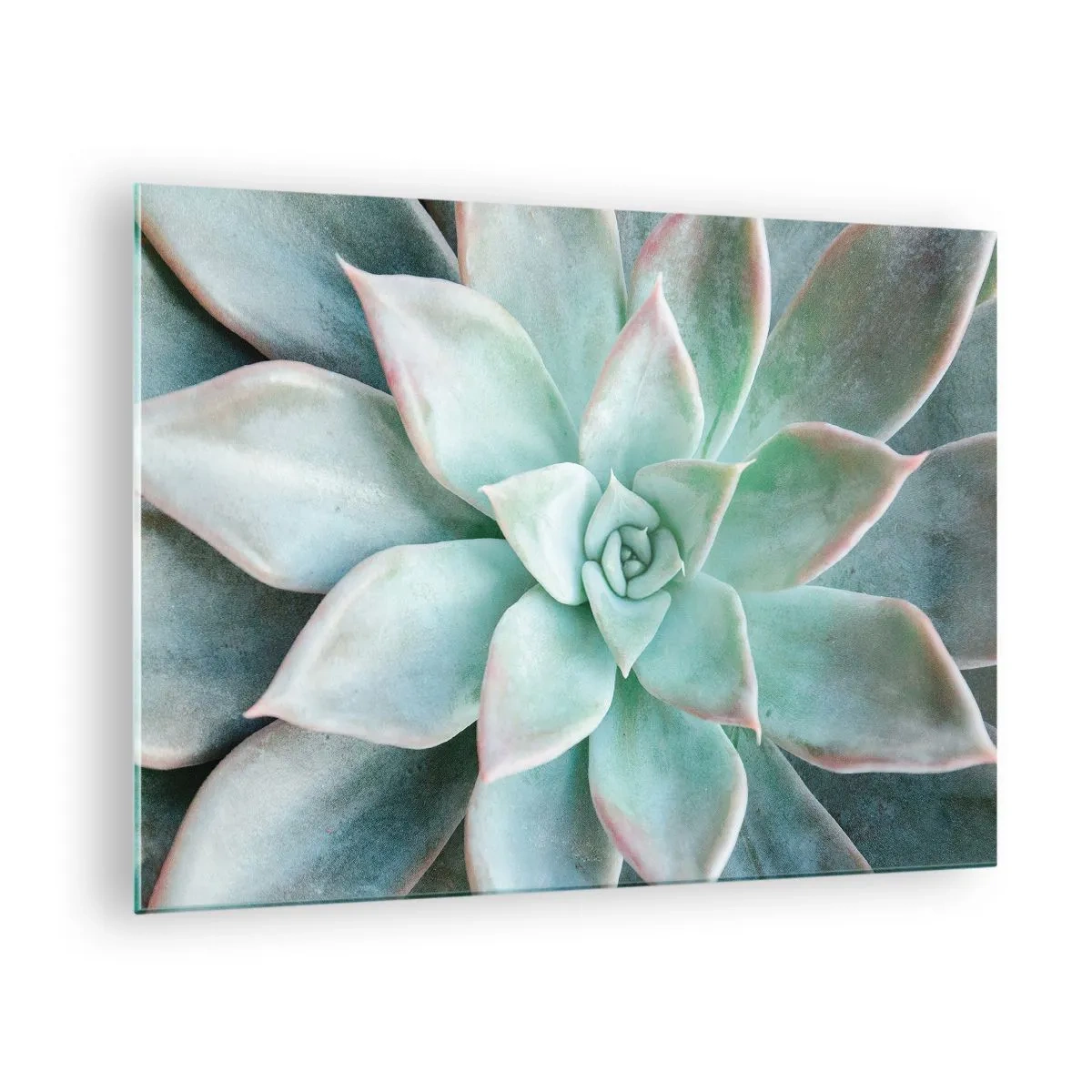 Quadro em vidro - Folhas suculentas secas com um delicado tom verde-acinzentado - 70x50cm - O coração do deserto - Decoração de parede moderna para a sala de estar e quarto ARTTOR