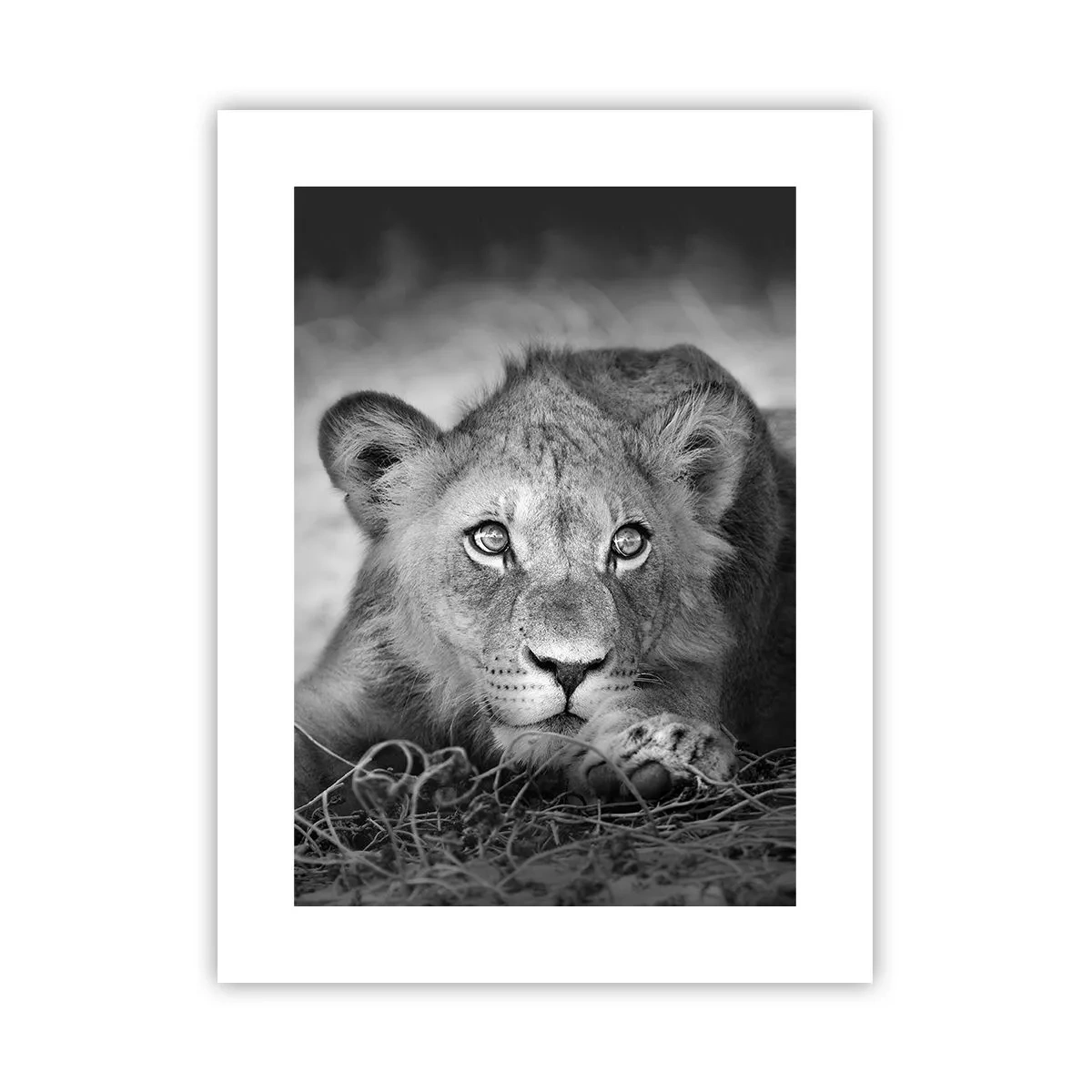 Pôster - Cachorro real - 30x40 cm