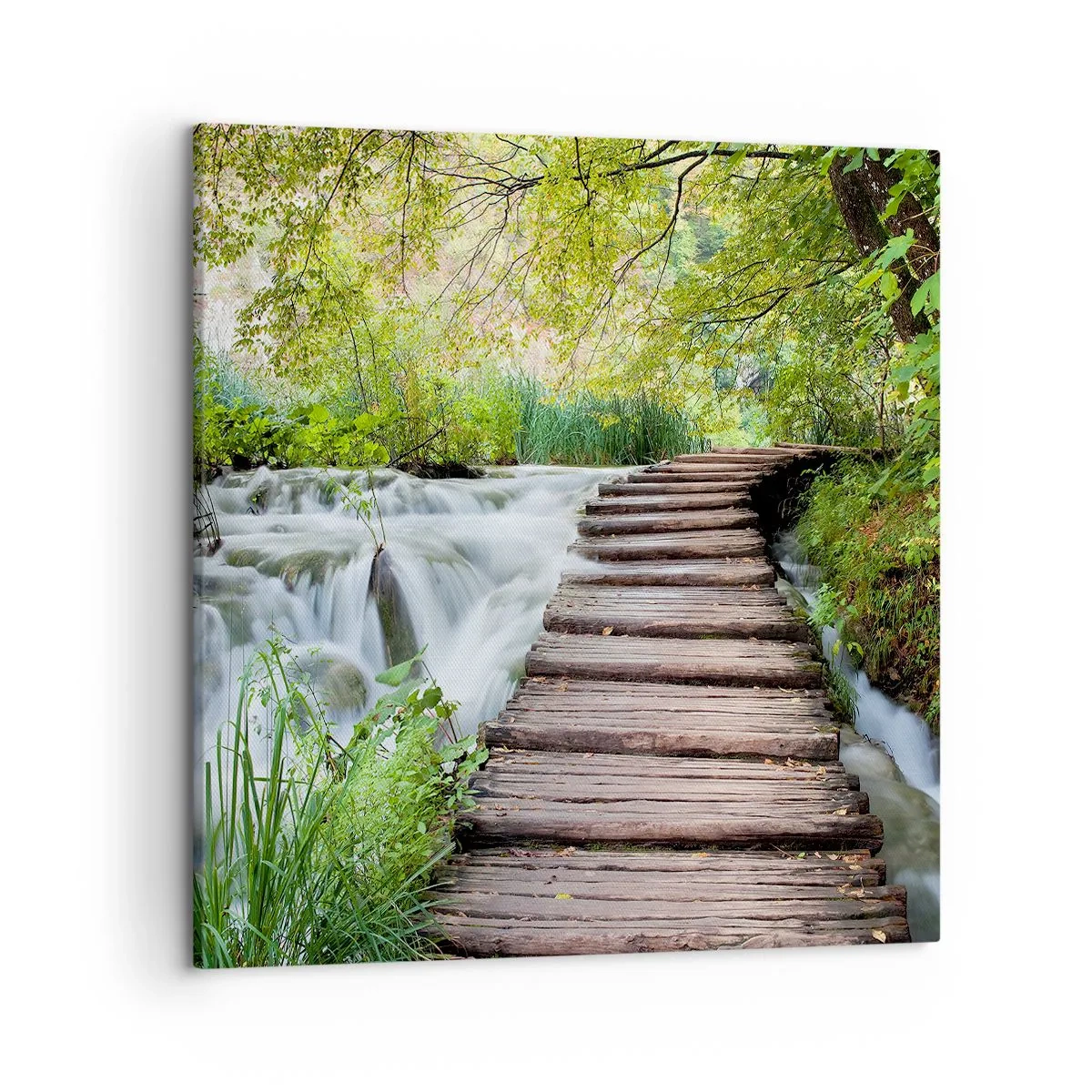 Quadro em tela - As aparências enganam - 50x50 cm