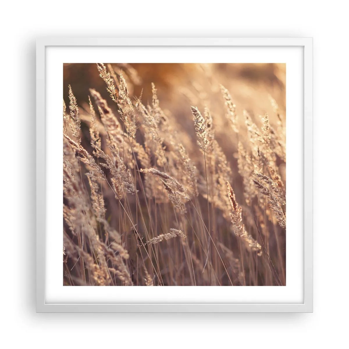 Pôster em moldura branca - Pronto para receber o outono - 50x50 cm