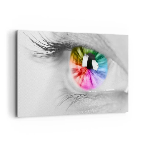 Quadro em tela - Olhar para o mundo a cores - 120x80 cm