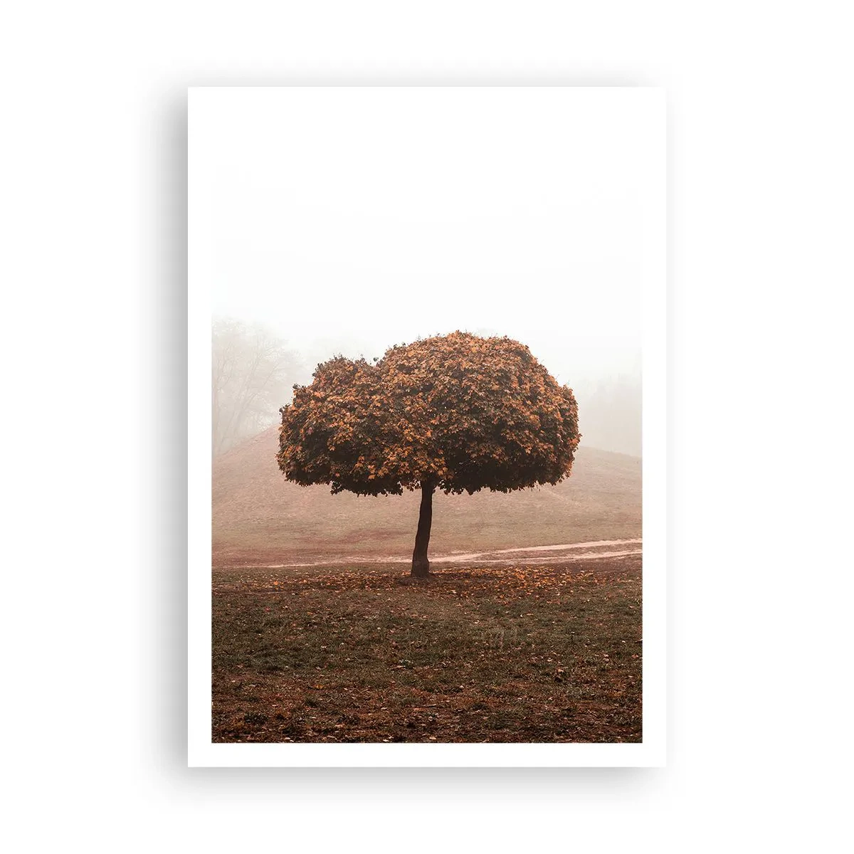 Pôster - Depois de um verão agitado - 70x100 cm