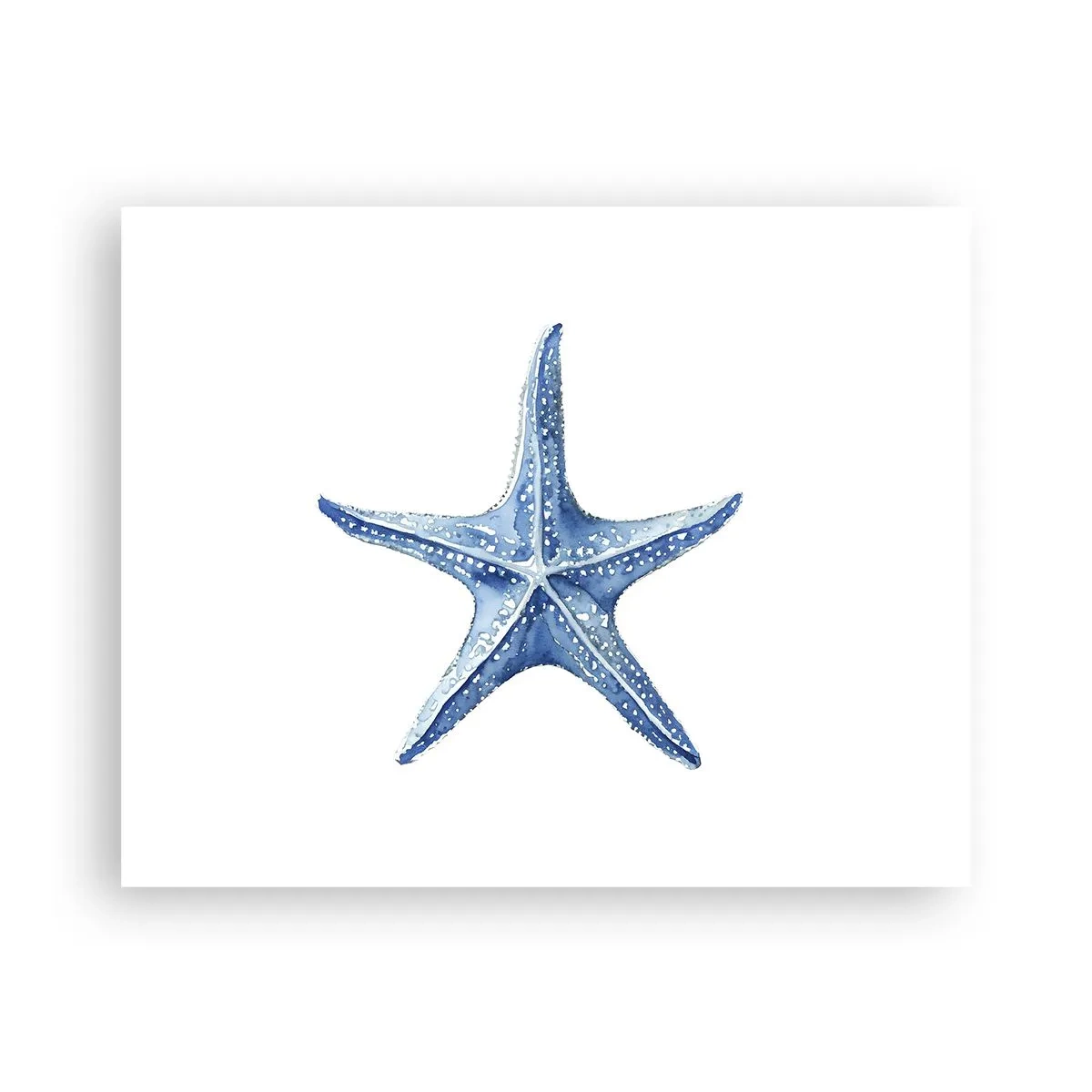 Pôster - Estrela do mar - 50x40 cm