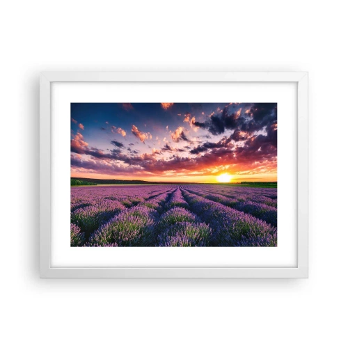 Pôster em moldura branca - O mundo da lavanda - 40x30 cm