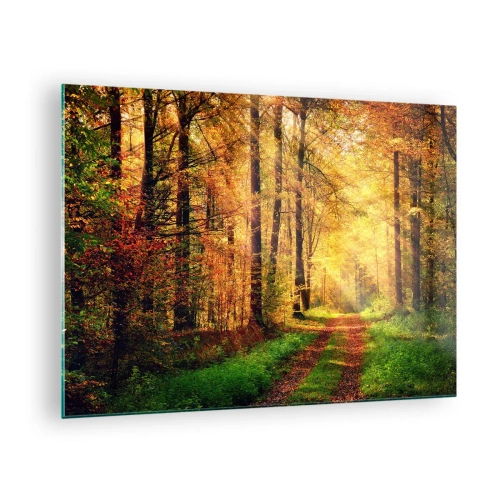 Quadro em vidro - Caminho de outono na floresta com raios de sol - 70x50cm - Silêncio dourado da floresta - Decoração de parede moderna para a sala de estar e quarto ARTTOR