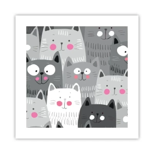 Pôster - O mundo dos gatos - 40x40 cm
