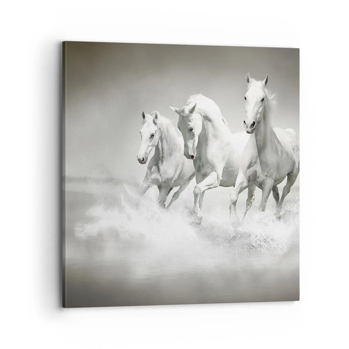 Quadro em tela - Loucura branca - 70x70 cm