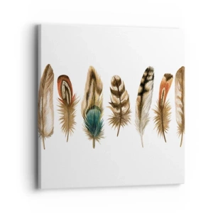 Quadro em tela - Variações de penas - 40x40 cm
