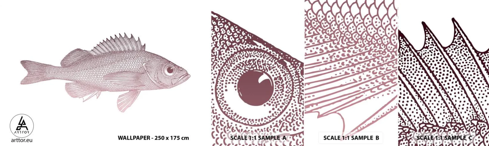 Amostra de Papel de Parede Standard Eco - Peixe de olhos grandes - Peixe, Embaixo da agua, Minimalista - 100x30 cm