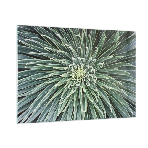 Quadro em vidro - Nasce uma estrela - 100x70 cm