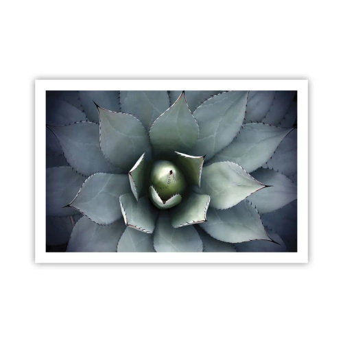 Pôster - Atrai e adverte - 91x61 cm