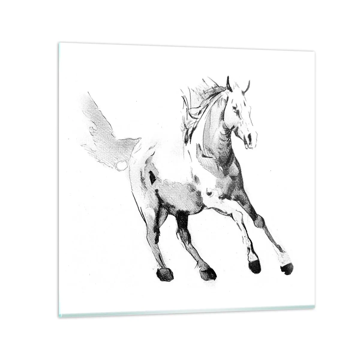 Quadro em vidro - Alma Indomável - 70x70 cm