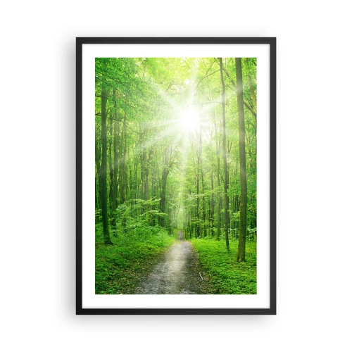 Pôster com moldura preta - Um caminho na floresta iluminado pelos raios do sol - 50x70cm - Catedral Verde - Decoração de parede moderna para a sala de estar e quarto ARTTOR