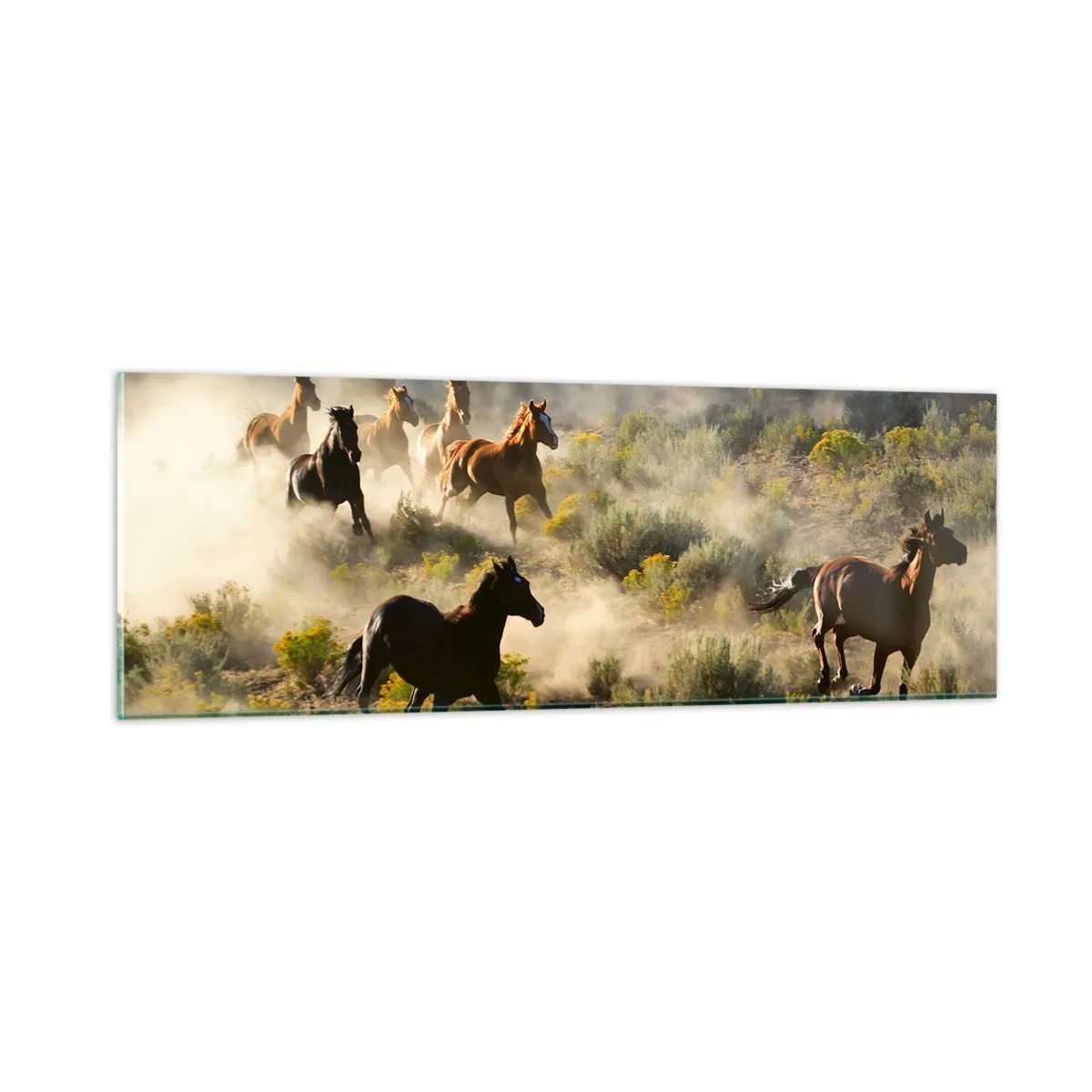Quadro em vidro - Competição - liberdade ou força masculina? - 90x30 cm