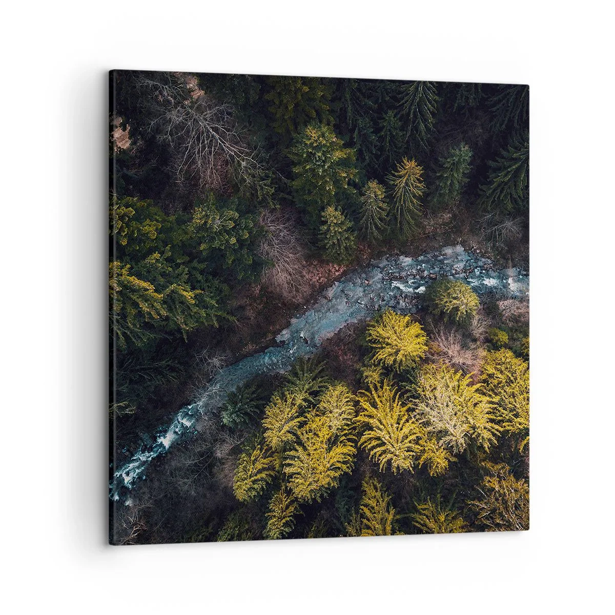 Quadro em tela - Rápido e cada vez mais rápido - 50x50 cm