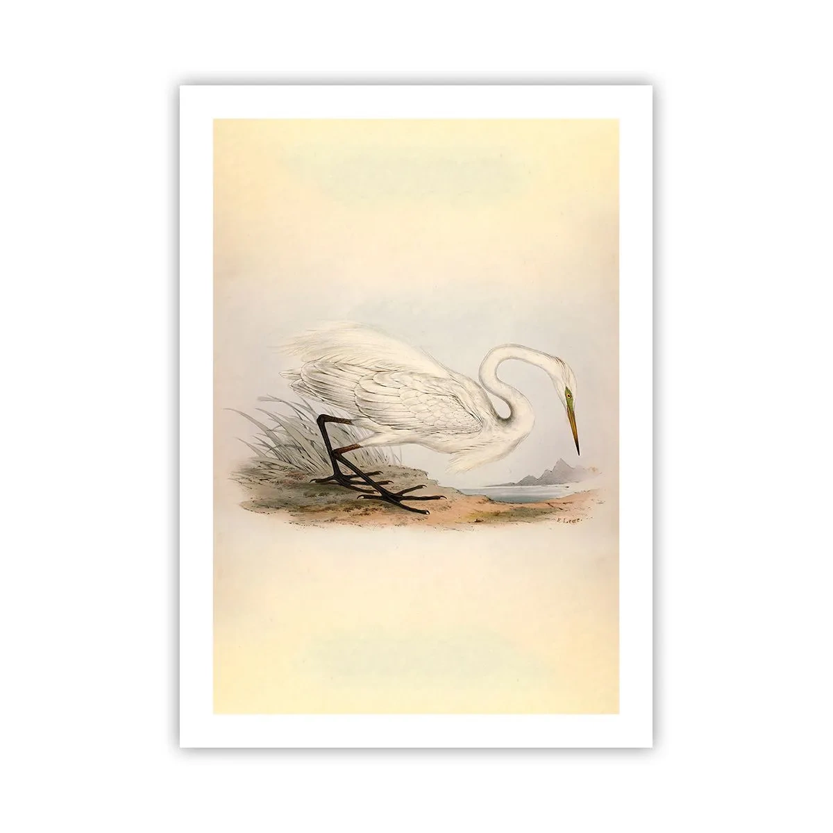 Pôster - A senhora nos juncos - 50x70 cm