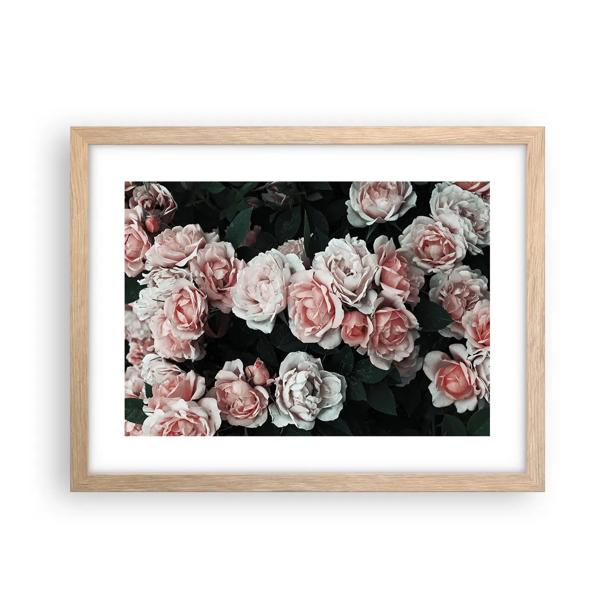 Pôster com moldura de carvalho claro - Conjuntos de rosas - 40x30 cm