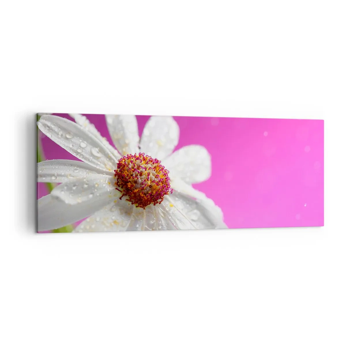 Quadro em tela - Modesto em sua beleza - 140x50 cm