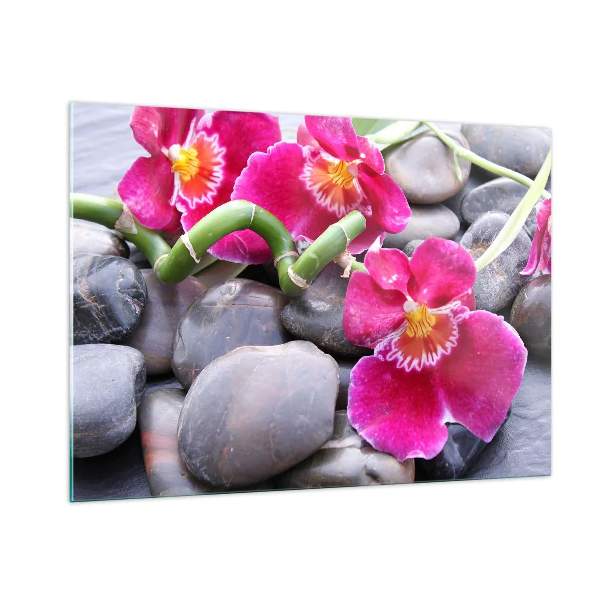 Quadro em vidro - Frio e calor - 100x70 cm