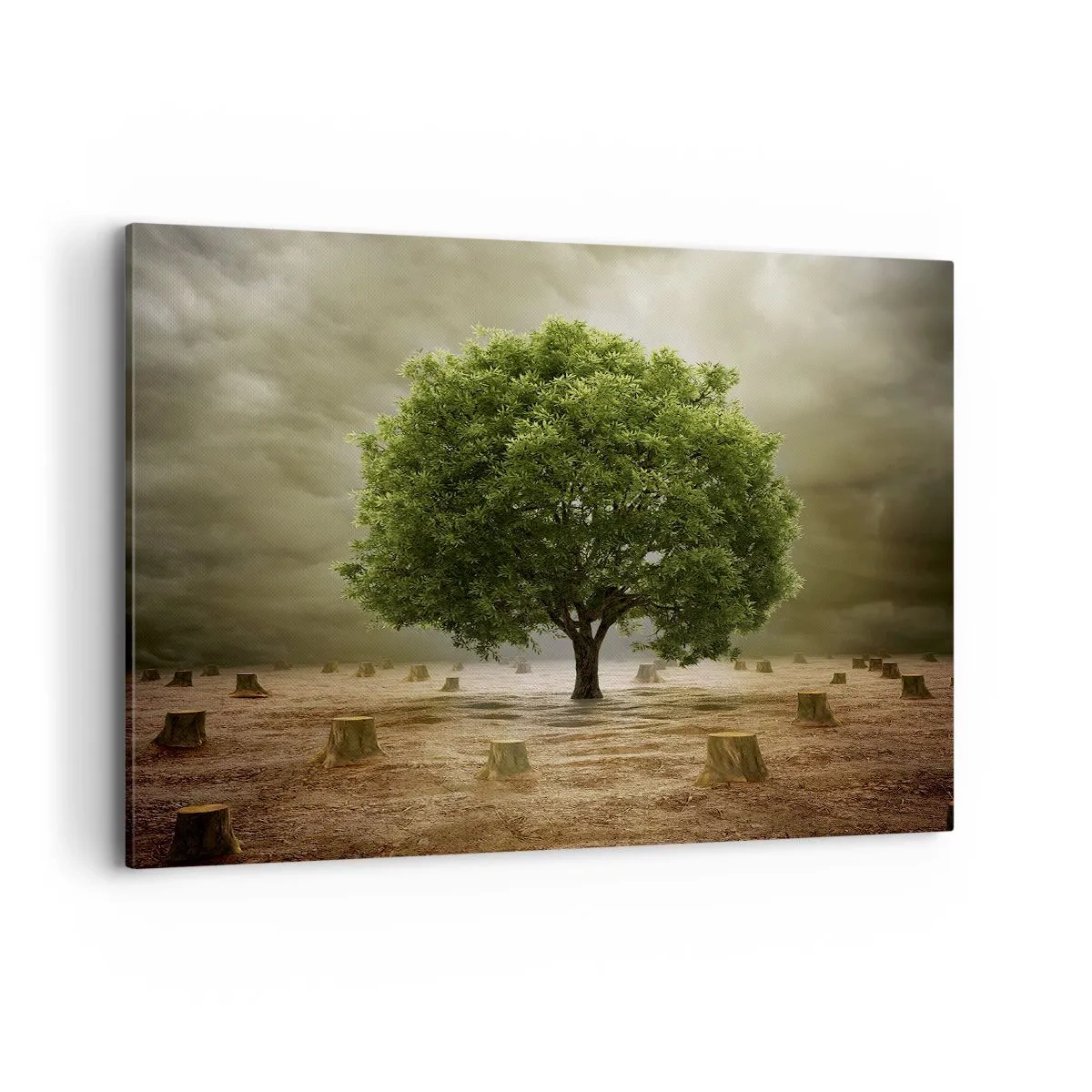 Quadro em tela - Toda a esperança - 100x70 cm