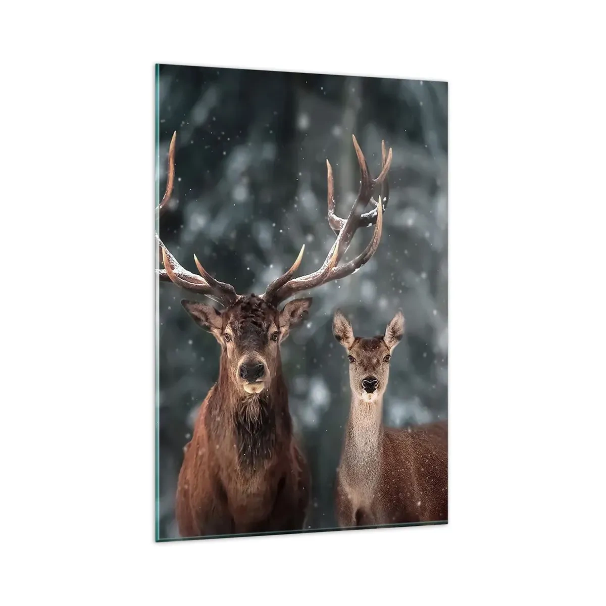 Quadro em vidro - O senhor da floresta com sua esposa - 80x120 cm