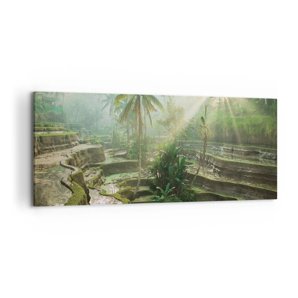 Quadro em tela - Crescer ao sol - 120x50 cm